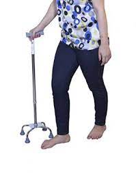 Walking Stick Quadrupod